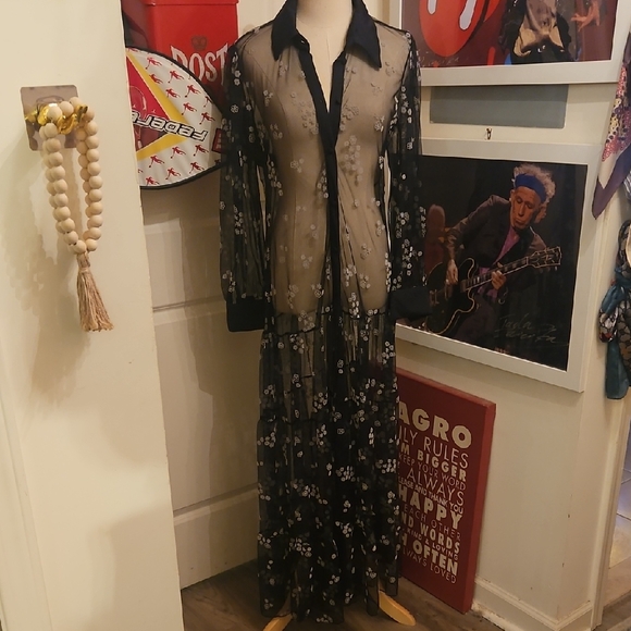 JANE'S Dresses & Skirts - Chic Black Floral Embroidered Long Sleeve Sheer Maxi Dress